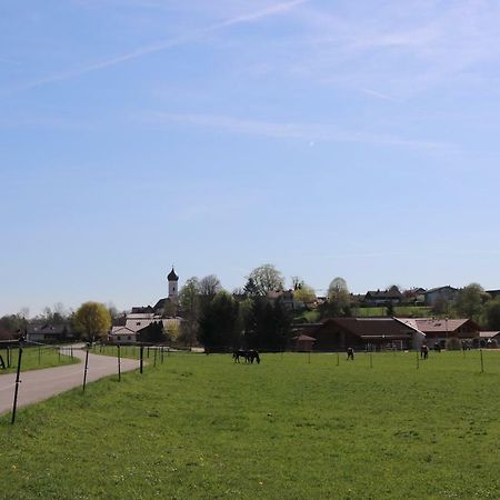 Ferienwohnung Pferdehof Pankratz Iffeldorf Dış mekan fotoğraf