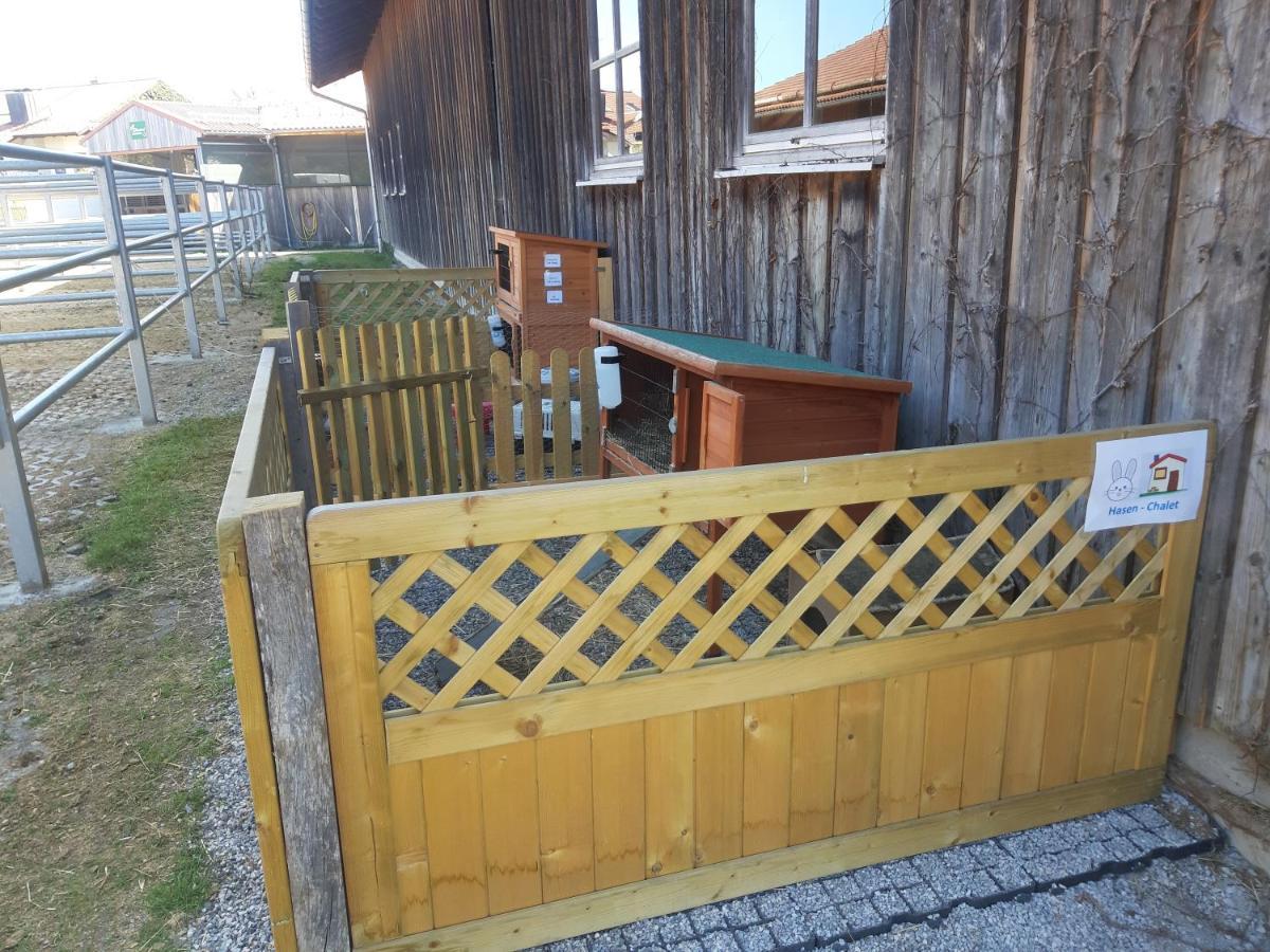 Ferienwohnung Pferdehof Pankratz Iffeldorf Dış mekan fotoğraf