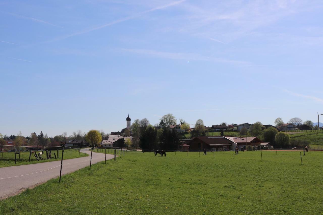 Ferienwohnung Pferdehof Pankratz Iffeldorf Dış mekan fotoğraf