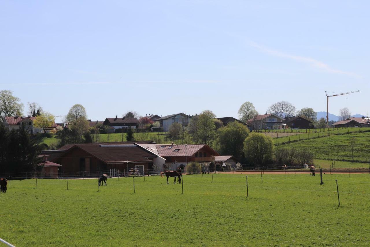 Ferienwohnung Pferdehof Pankratz Iffeldorf Dış mekan fotoğraf